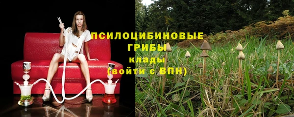 не бодяженный Михайловск